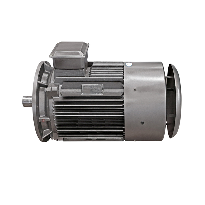 long shaft electric motor